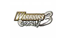 Warriors-Orochi-3_2012_01-23-12_042