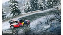 WRC-3_screenshot-1