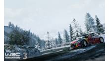 WRC-3_screenshot-3