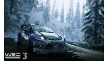 WRC-3_screenshot-4
