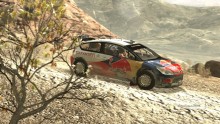 WRC-ps3-image (5)